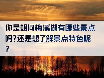 你是想问梅溪湖有哪些景点吗？还是想了解景点特色呢？