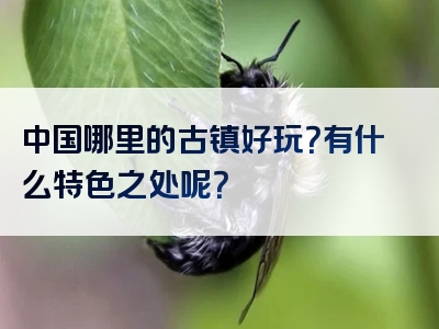 中国哪里的古镇好玩？有什么特色之处呢？
