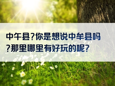 中午县？你是想说中牟县吗？那里哪里有好玩的呢？