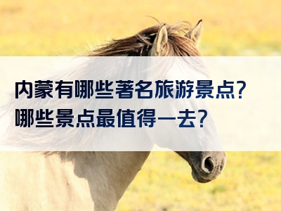 内蒙有哪些著名旅游景点？哪些景点最值得一去？