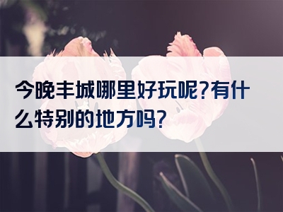 今晚丰城哪里好玩呢？有什么特别的地方吗？