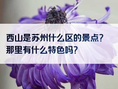 西山是苏州什么区的景点？那里有什么特色吗？