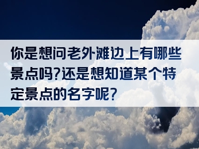 你是想问老外滩边上有哪些景点吗？还是想知道某个特定景点的名字呢？