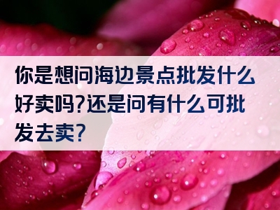 你是想问海边景点批发什么好卖吗？还是问有什么可批发去卖？
