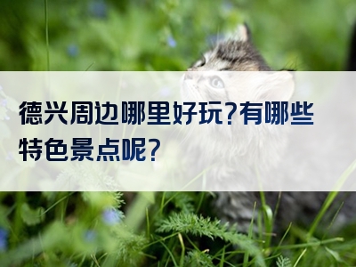 德兴周边哪里好玩？有哪些特色景点呢？