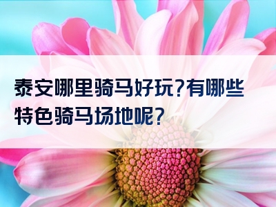 泰安哪里骑马好玩？有哪些特色骑马场地呢？