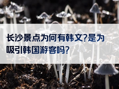 长沙景点为何有韩文？是为吸引韩国游客吗？