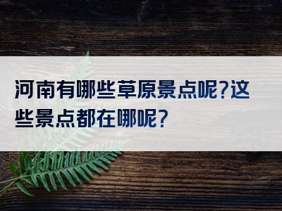河南有哪些草原景点呢？这些景点都在哪呢？