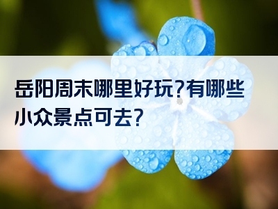 岳阳周末哪里好玩？有哪些小众景点可去？