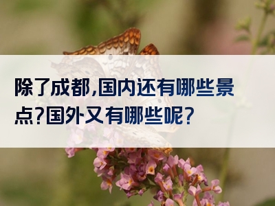 除了成都，国内还有哪些景点？国外又有哪些呢？
