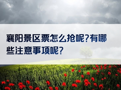 襄阳景区票怎么抢呢？有哪些注意事项呢？