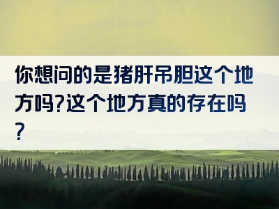 你想问的是猪肝吊胆这个地方吗？这个地方真的存在吗？
