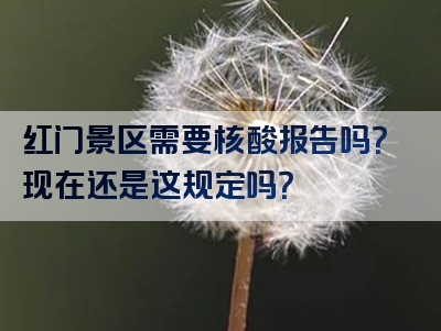 红门景区需要核酸报告吗？现在还是这规定吗？