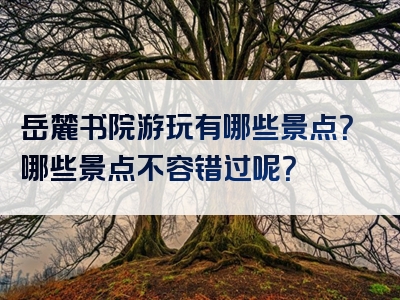 岳麓书院游玩有哪些景点？哪些景点不容错过呢？