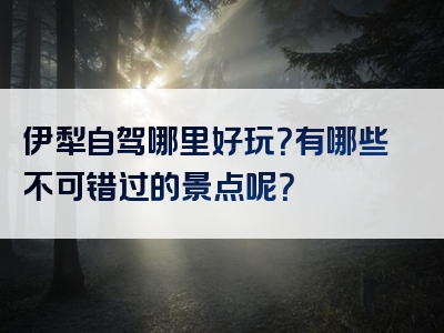 伊犁自驾哪里好玩？有哪些不可错过的景点呢？