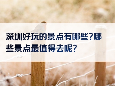 深圳好玩的景点有哪些？哪些景点最值得去呢？