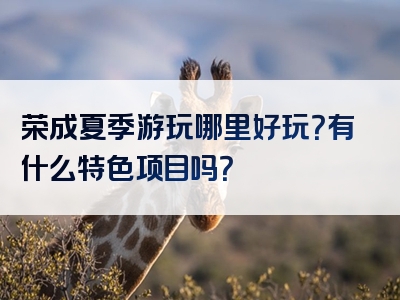 荣成夏季游玩哪里好玩？有什么特色项目吗？
