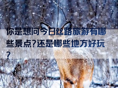 你是想问今日丝路旅游有哪些景点？还是哪些地方好玩？
