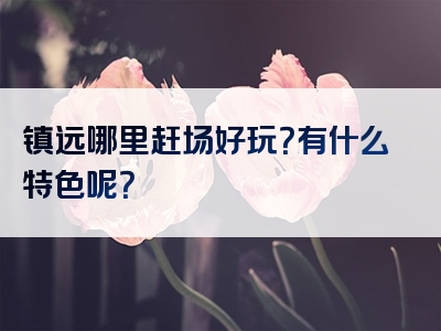 镇远哪里赶场好玩？有什么特色呢？