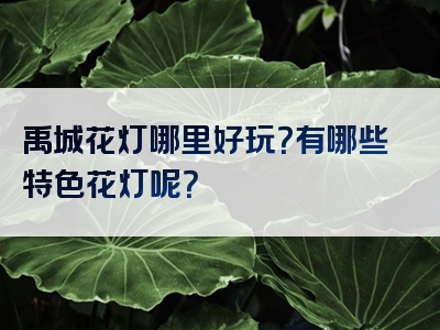 禹城花灯哪里好玩？有哪些特色花灯呢？