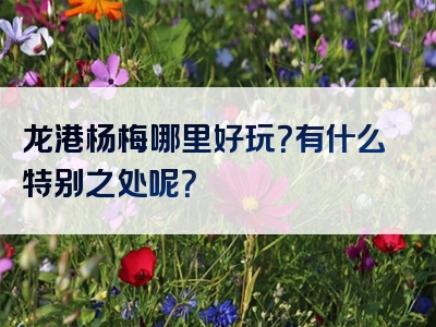 龙港杨梅哪里好玩？有什么特别之处呢？