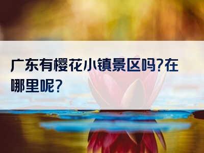 广东有樱花小镇景区吗？在哪里呢？