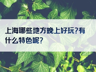 上海哪些地方晚上好玩？有什么特色呢？