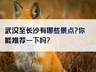 武汉至长沙有哪些景点？你能推荐一下吗？