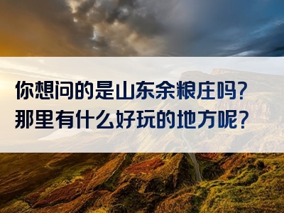你想问的是山东余粮庄吗？那里有什么好玩的地方呢？