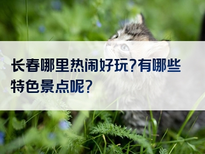 长春哪里热闹好玩？有哪些特色景点呢？
