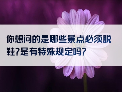 你想问的是哪些景点必须脱鞋？是有特殊规定吗？
