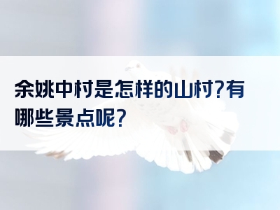 余姚中村是怎样的山村？有哪些景点呢？