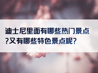 迪士尼里面有哪些热门景点？又有哪些特色景点呢？