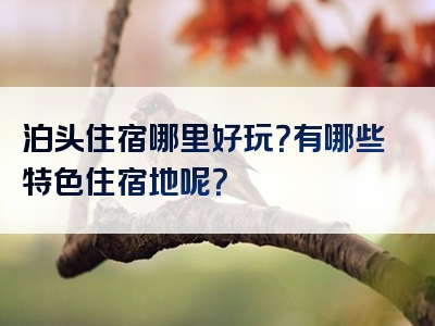 泊头住宿哪里好玩？有哪些特色住宿地呢？
