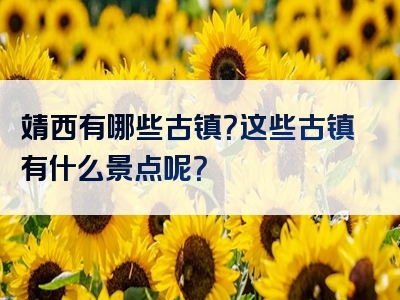 靖西有哪些古镇？这些古镇有什么景点呢？
