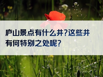 庐山景点有什么井？这些井有何特别之处呢？