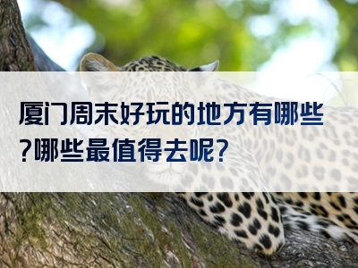 厦门周末好玩的地方有哪些？哪些最值得去呢？