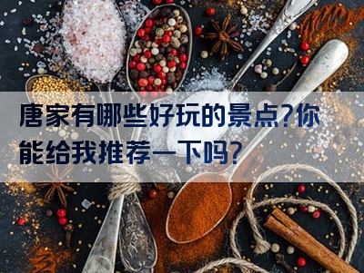唐家有哪些好玩的景点？你能给我推荐一下吗？