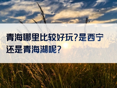 青海哪里比较好玩？是西宁还是青海湖呢？