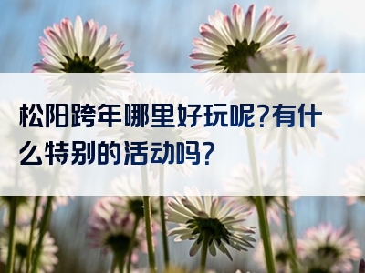 松阳跨年哪里好玩呢？有什么特别的活动吗？