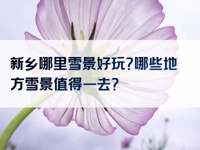 新乡哪里雪景好玩？哪些地方雪景值得一去？