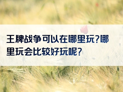 王牌战争可以在哪里玩？哪里玩会比较好玩呢？