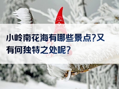 小岭南花海有哪些景点？又有何独特之处呢？