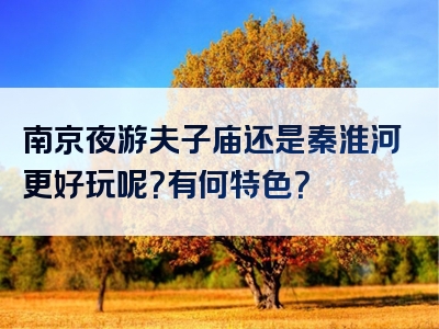 南京夜游夫子庙还是秦淮河更好玩呢？有何特色？