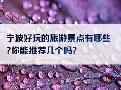 宁波好玩的旅游景点有哪些？你能推荐几个吗？