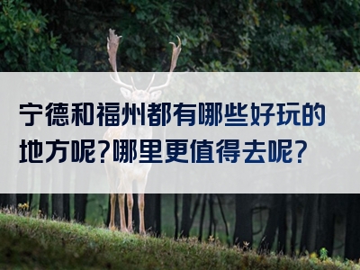 宁德和福州都有哪些好玩的地方呢？哪里更值得去呢？