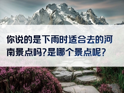 你说的是下雨时适合去的河南景点吗？是哪个景点呢？