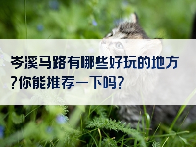 岑溪马路有哪些好玩的地方？你能推荐一下吗？