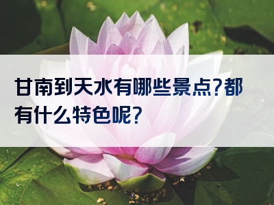甘南到天水有哪些景点？都有什么特色呢？