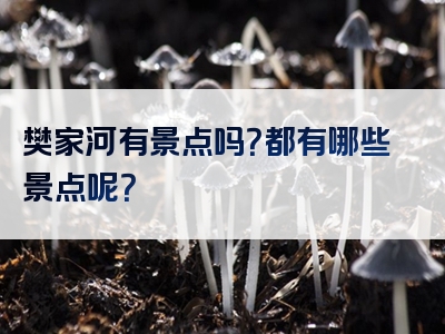 樊家河有景点吗？都有哪些景点呢？